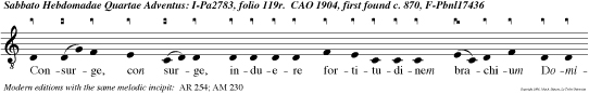Consurge, con surge, induere fortitudinem brachium Domini.