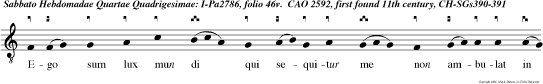 Ego sum lux mun di qui sequitur me non ambulat in tenebris, sed habebit lumen vitae, dicit Dominus