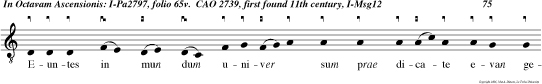 Euntes in mun dum