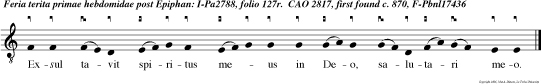 Exsul tavit spiritus meus in Deo, salutari meo.