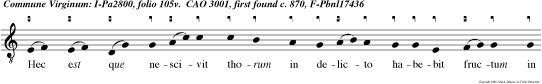 Hec est que nescivit thorum in delicto habebit fructum in respectione animarum san tarum Dominus regna. e u o u a e.