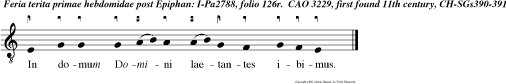 In domum Domini laetantes ibimus.