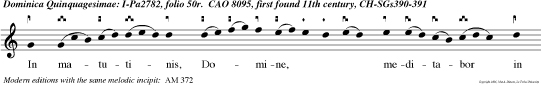 In matutinis, Domine, meditabor in te, quia fac tus es adjutor meus.