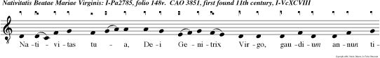 Nativitas tua, Dei Genitrix