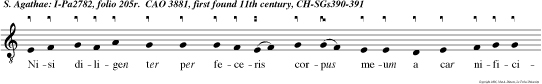 Nisi diligen ter per feceris corpus meum a car nificibus attrectari, non potest anima mea in paradisum Domini cum palma intrare martyrii.