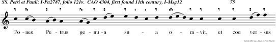 Ponen Petrus genua sua