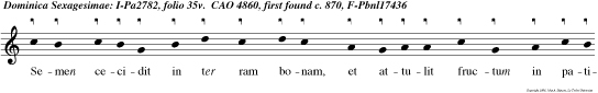 Semen cecidit in ter ram bonam, et attulit fructum in patientia.
