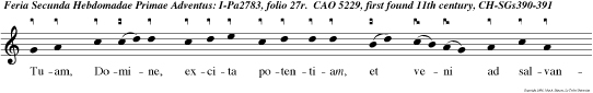 Tuam, Domine, excita potentiam, et veni ad salvandum nos.