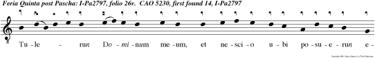 Tulerun Dominum meum, et nescio ubi posuerun eum  si tu sustulisti eum, dicito mihi, alleluia, et ego eum tollam alleluia.