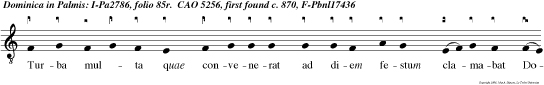 Turba multa quae convenerat ad diem festum clamabat Domino: Benedictus qui venit in nomine Domini, hosan na in excelsis.