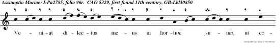 Veniat dilectus meus in hortum suum, ut comedat fructum pomorum suorum.