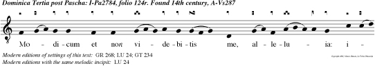 Modicum et non videbitis me, alleluia: iterum modicum et videbitis me, quia vado ad Patrem, alleluia, alleluia.