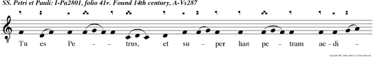 Tu es Petrus, et super han petram aedificabo Ecclesiam meam.