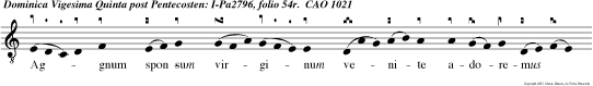 Aggnum sponsum virginum venite adoremus Dominum Jesum Christum