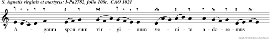 Agnum sponsum virginum venite adoremus Dominum Jesum Christum.