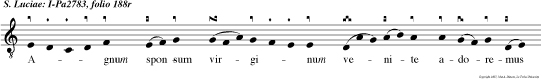 Agnum sponsum virginum venite adoremus Dominum Jesum Christum