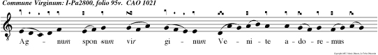 Ag num sponsum vir ginum Venite adoremus dominum jesum chris  tum Venite.