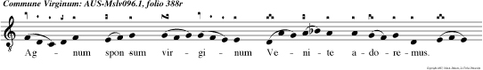 Ag num sponsum virginum Venite adoremus. dominum Jesum Chri stum.