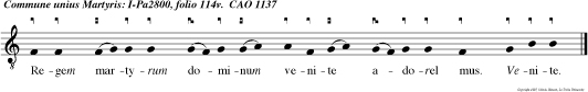 Regem martyrum dominum venite adorel mus. Venite.