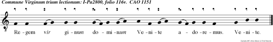 Regem vir ginum dominum Venite adoremus. Venite.