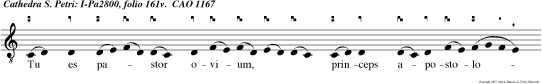 Tu es pastor ovium, princeps apostolorum, tibi tradidit Deus claves regni coelorum.
