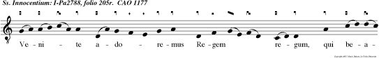 Venite adoremus Regem regum, qui beatis martyribus coronam dedit gloriae.