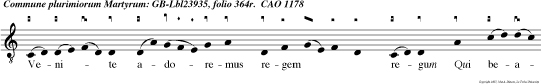 Venite adoremus regem regum Qui beatis martyribus coronam dedit glorie.