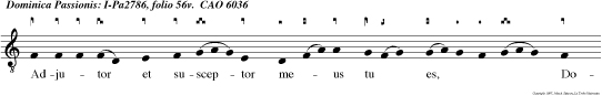 Adjutor et susceptor meus tu es, Domine: et in verbum tuum speravi: Declinate a me, maligni, et scrutabor man data Dei mei.