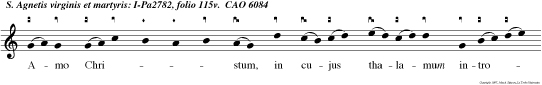 Amo Christum, in cujus thalamum