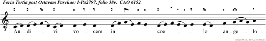 Audivi vocem in coelo angelorum multorum dicentium: Timete Dominum et date claritatem illi: et adorate eum, qui fecit coelum et ter ram, mare et fontes aquarum, alleluia alleluia.