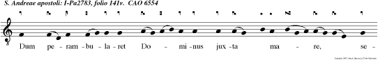 Dum perambularet Dominus juxta  mare, secus litus Galilaeae, vidit Petrum et Andream retia mitten tes in mare, vocavit eos dicen Venite pos me, faciam vos piscatores hominum