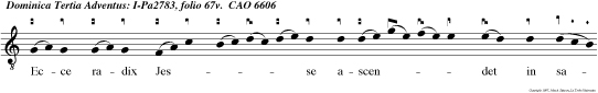 Ecce radix Jesse ascendet in salutem populorum ipsum gentes  deprecabuntur Et erit nomen ejus gloriosum