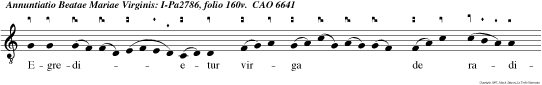 Egredietur virga de radice Jesse, et flos de radice ejus ascen det. Et erit justitia cingulum lum borum ejus: Et fides cinctorium renum ejus.