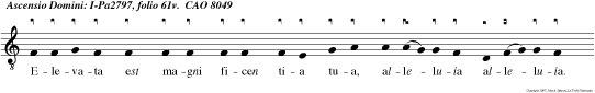 Elevata est magni ficen tia tua, alleluia alleluia. Super coelos, Deus, alleluia.