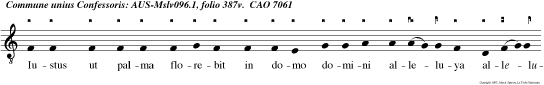 Iustus ut palma florebit in domo domini alleluya alleluya.