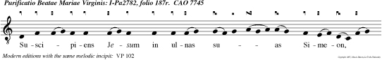 Spes mea, Domine, A juven tute mea. In te con firmatus sum ex utero: de ven tre matris meae tues meus pro tector.