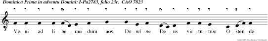 Tribularer, si nescirem misericordias tuas, Domine. Tu dixisti: Nolo mortem peccatoris, sed con vertatur et vivat: Qui Chananaeam et publicanum vocasti ad paenitentiam.