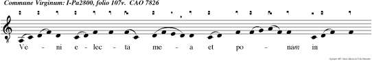 Tristis est anima mea usque ad mortem sustinete hic et vigilate mecum: nun videbitis tur bam quae circum dabit me: Vos fugam capietis, et ego vadam immolari pro vobis