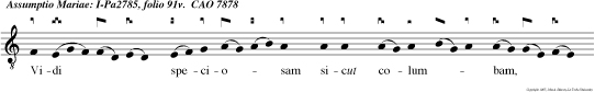 Velum tem li scissum est, et omnis terra tremuit: latro de cruce clamabat, dicen Memen to mei, Domine, dum veneris in regnum tuum.