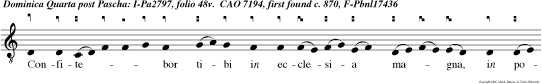 Confitebor tibi in ecclesia magna, in populo gravi.