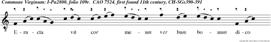 Eructa  vit cor meum ver bum bonum dico e go opera mea regi. Quem vi. Gloria  patri et filio et spiritui san to. In quem