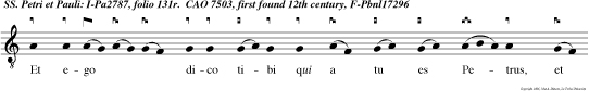 Et ego dico tibi qui a tu es Petrus, et super han petram aedificabo Ecclesiam meam.