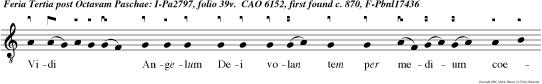 Vidi Angelum Dei volan tem per medium coeli, voce magna clamantem et dicentem